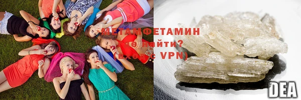шишки Долгопрудный