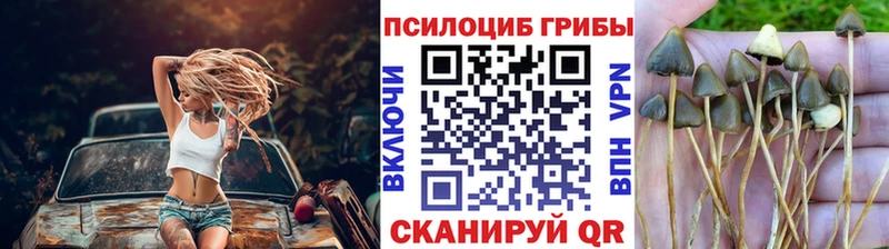 гидра как войти  Поронайск  Псилоцибиновые грибы прущие грибы 
